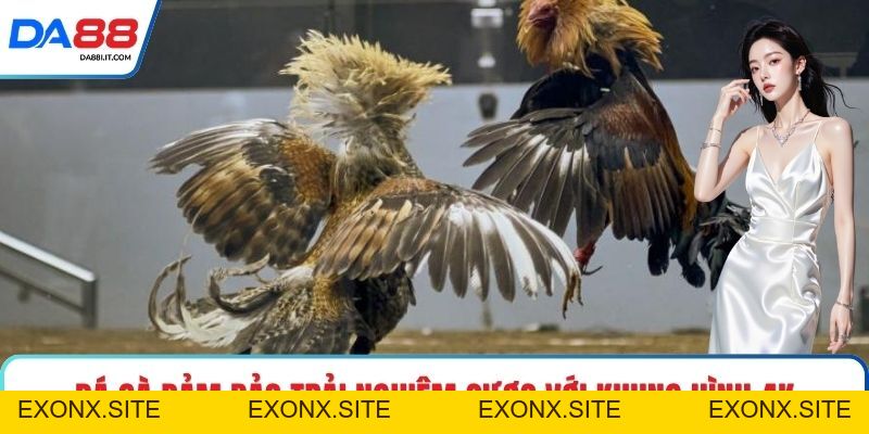 DA88 - Link Truy Cập Trang Chủ Da88.Com Chính Thức 2026