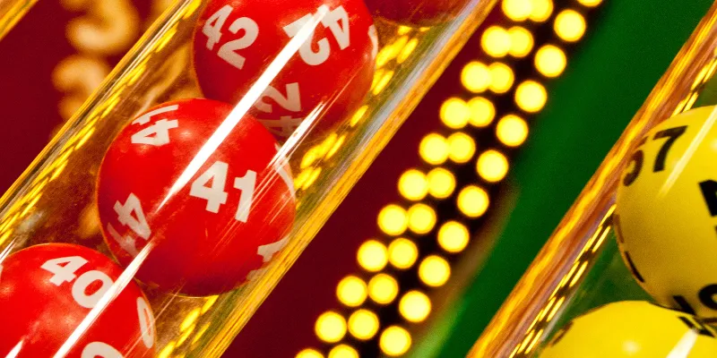 Giấc Mơ Về Con Vật Bet Thủ Thường Gặp Trong Lô Đề Online
